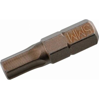 SAM OUTILLAGE - Modello E-111 - Inserti morbidi durevoli - Set da 3 - Bit di cacciavite 1/4" SAM OUTILLAGE - Modello E-111 - Inserti morbidi durevoli - Set da 3 - Bit di cacciavite 1/4"