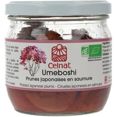 Celnat Prune Umeboshi - Fruit sec - Publicité Celnat Prune Umeboshi - Fruit sec - Publicité