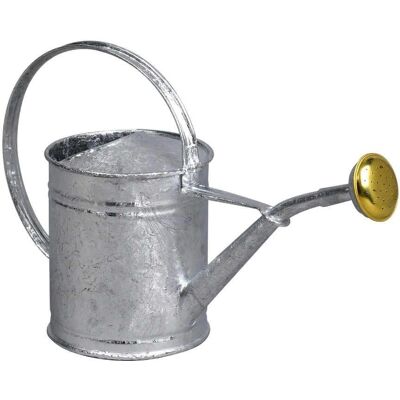 Annfiatoio Guillouard 1L - Griglia in ottone - Vintage Annfiatoio Guillouard 1L - Griglia in ottone - Vintage