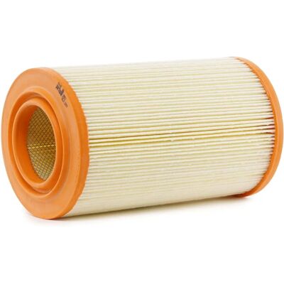 PURFLUX A251 Filtr powietrza PURFLUX A251 Filtr powietrza