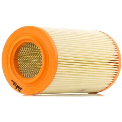 PURFLUX A1009 - Luftfilter für Ford, Nissan - Filterkartusche PURFLUX A1009 - Luftfilter für Ford, Nissan - Filterkartusche