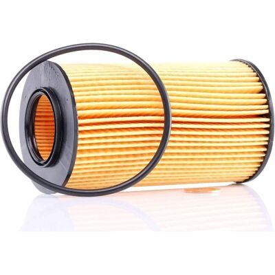PURFLUX L307 Oljeilter - Motor Kompatibel PURFLUX L307 Oljeilter - Motor Kompatibel