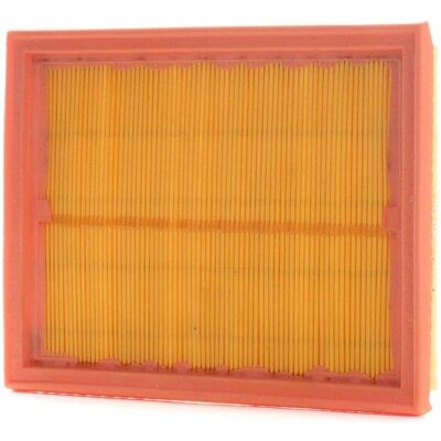 PURFLUX - Luftfilter A1145 - Kompatibel mit Ford, Mazda, Mini, Fiesta Mk5, Fusion PURFLUX - Luftfilter A1145 - Kompatibel mit Ford, Mazda, Mini, Fiesta Mk5, Fusion