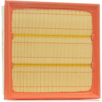 PURFLUX A1223 Filtro aria - Compatibile con Opel, Fiat, Alfa Romeo PURFLUX A1223 Filtro aria - Compatibile con Opel, Fiat, Alfa Romeo
