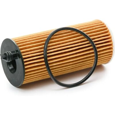 Filtro olio PURFLUX BMW Toyota Mini - Cartuccia di alta qualità Filtro olio PURFLUX BMW Toyota Mini - Cartuccia di alta qualità