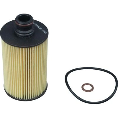 PURFLUX L1068 Oljefilter - Ssangyong Rexton, Korando, Rodius, Actyon PURFLUX L1068 Oljefilter - Ssangyong Rexton, Korando, Rodius, Actyon