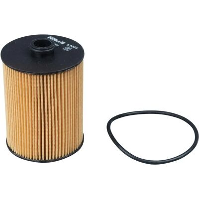Oliefilter PURFLUX L1071 - Kompatibel med Volkswagen Touareg II, Passat B7, Porsche Cayenne Oliefilter PURFLUX L1071 - Kompatibel med Volkswagen Touareg II, Passat B7, Porsche Cayenne