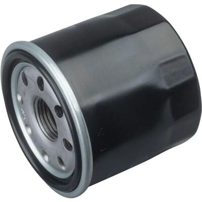 PURFLUX LS1156 Oljesfilter - Skruvdesign PURFLUX LS1156 Oljesfilter - Skruvdesign