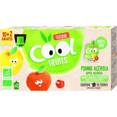 Babybio Apfel Acerola Fruchtbeutel - Baby Food Pouch Babybio Apfel Acerola Fruchtbeutel - Baby Food Pouch