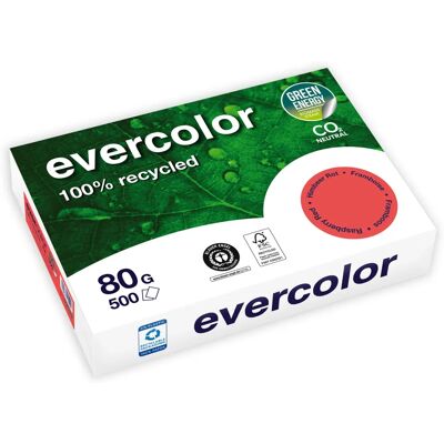 Clairefontaine Evercolor Recyclingpapier - A4 - 80g - Elfenbein Clairefontaine Evercolor Recyclingpapier - A4 - 80g - Elfenbein