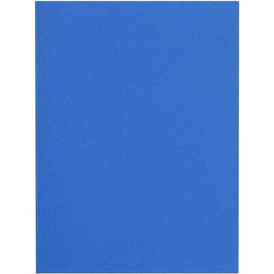 Exacompta Modell FLASH 220 - Mappar Exacompta Modell FLASH 220 - Mappar