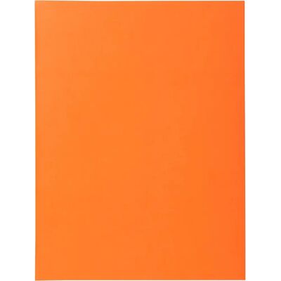 Exacompta 340007E - Pastel Kleur A4 Map - 160 g/m² - 5 Stuks Exacompta 340007E - Pastel Kleur A4 Map - 160 g/m² - 5 Stuks
