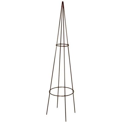 Louis Moulin Tuteur Alambre Redondo - Soporte para Arbustos y Plantas Trepadoras Louis Moulin Tuteur Alambre Redondo - Soporte para Arbustos y Plantas Trepadoras