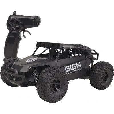 Voiture télécommandée GIGN 1:16 - Licence officielle, coque métal, 20 km/h Voiture télécommandée GIGN 1:16 - Licence officielle, coque métal, 20 km/h