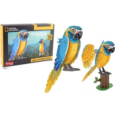 Puzzle 3D Perroquet - Modèle éducatif - 94 pièces - À partir de 8 ans - Publicité Puzzle 3D Perroquet - Modèle éducatif - 94 pièces - À partir de 8 ans - Publicité