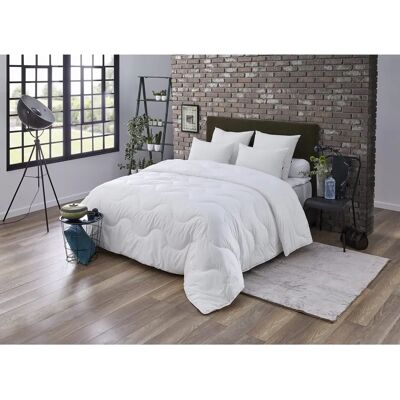 Edredom Dodo Maxicon Fort Ultra - Quente, Leve, 200x140cm Edredom Dodo Maxicon Fort Ultra - Quente, Leve, 200x140cm