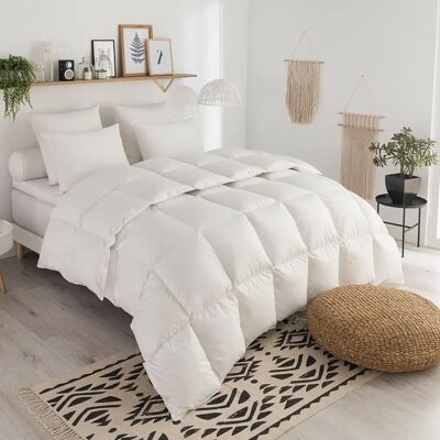 DODO - Tradition TEMPEREE - 50% duvet de canard - 240/260 - Duvet - Publicité DODO - Tradition TEMPEREE - 50% duvet de canard - 240/260 - Duvet - Publicité