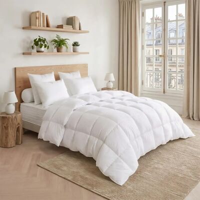 DODO - TEMPEREE - 70% duvet d'oie - 140/200 - duvet - Publicité DODO - TEMPEREE - 70% duvet d'oie - 140/200 - duvet - Publicité