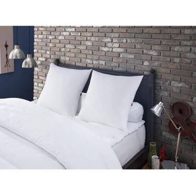 Poduszki z Piór DODO Meribel - Zestaw 2 60x60cm Poduszki z Piór DODO Meribel - Zestaw 2 60x60cm