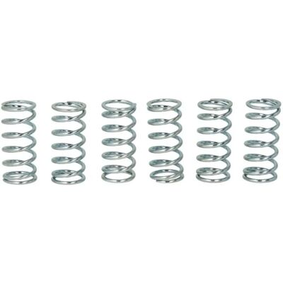 TRW Lucas Clutch Spring Set - Clutch Springs for Motorcycles TRW Lucas Clutch Spring Set - Clutch Springs for Motorcycles