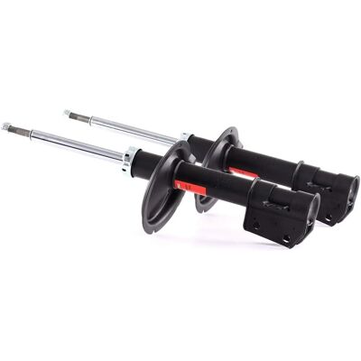 TRW JGM266T Kit amortizori față - Amortizor TRW JGM266T Kit amortizori față - Amortizor