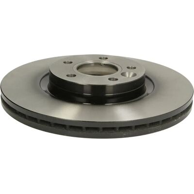 TRW Bromsskiva Ventilerad 300mm - Skiva TRW Bromsskiva Ventilerad 300mm - Skiva