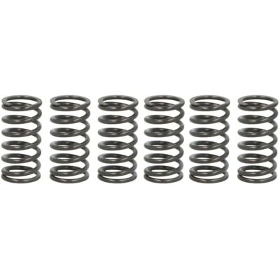 TRW MEF320-6 Clutch Spring Set - Clutch Springs TRW MEF320-6 Clutch Spring Set - Clutch Springs