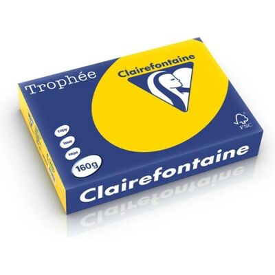 Clairefontaine Trophée Pastel Goudgeel A4 papier 160g 250 vellen Clairefontaine Trophée Pastel Goudgeel A4 papier 160g 250 vellen