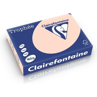 Clairefontaine Zalm A4 - 160 g/m² Farbkopierpapier Clairefontaine Zalm A4 - 160 g/m² Farbkopierpapier