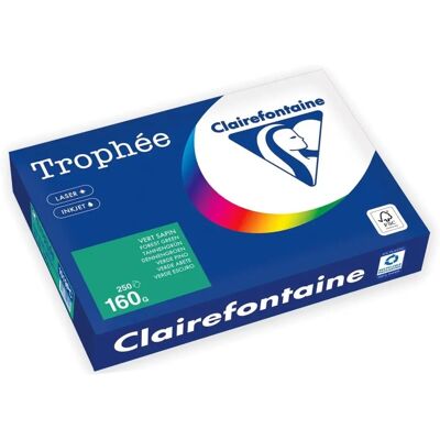 Clairefontaine Trophée tannengrün A4 - 160 g/m² Farbiges Papier - 250 Blatt Clairefontaine Trophée tannengrün A4 - 160 g/m² Farbiges Papier - 250 Blatt