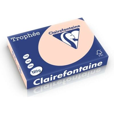 Clairefontaine Trophée Kopierpapier Zalm - A4 - 120g - 250 Blatt Clairefontaine Trophée Kopierpapier Zalm - A4 - 120g - 250 Blatt