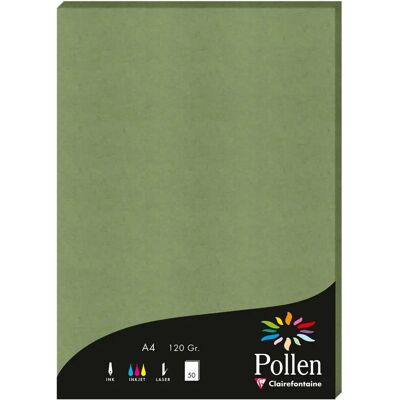 Clairefontaine Ark POLLEN A4 120g sage - Papier Clairefontaine Ark POLLEN A4 120g sage - Papier