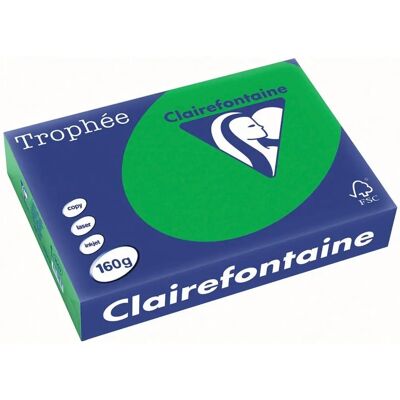Clairefontaine Trophée Card Billiard Green - Paper Card Clairefontaine Trophée Card Billiard Green - Paper Card