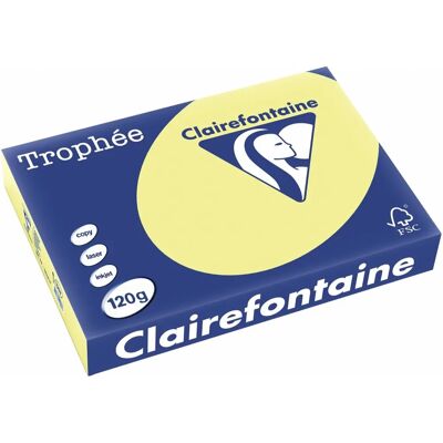 Clairefontaine Trophée Pastel - A4 160g - Kopieerpapier Clairefontaine Trophée Pastel - A4 160g - Kopieerpapier