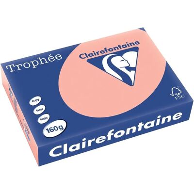 Clairefontaine Perzik Trophee Kleurpapier - A4 160g - 250vel Clairefontaine Perzik Trophee Kleurpapier - A4 160g - 250vel