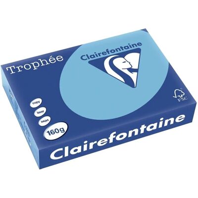 Clairefontaine Trophee Lavendelblauw A4 Kopieerpapier - 160g 250 vel Clairefontaine Trophee Lavendelblauw A4 Kopieerpapier - 160g 250 vel