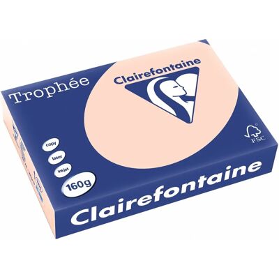 Clairefontaine Zalm Trophée Pastel - A4 Papier voor kantoorgebruik Clairefontaine Zalm Trophée Pastel - A4 Papier voor kantoorgebruik