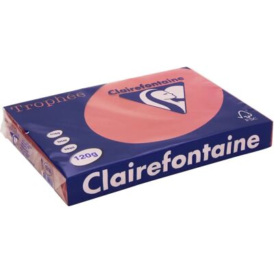 Papier Trophee Rouge Cerise Clairefontaine - A4 120g 250 Feuilles Papier Trophee Rouge Cerise Clairefontaine - A4 120g 250 Feuilles
