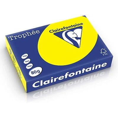 Clairefontaine 1293C Groen A4 Printerpapier Clairefontaine 1293C Groen A4 Printerpapier