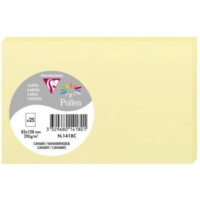 Clairefontaine Canari 82x128mm Karten - Bunte Papiersammlung Clairefontaine Canari 82x128mm Karten - Bunte Papiersammlung