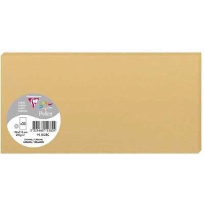 Cartes Pollen Caramel Clairefontaine - 25 pcs - 106x213mm - Sans acide - Publicité Cartes Pollen Caramel Clairefontaine - 25 pcs - 106x213mm - Sans acide - Publicité
