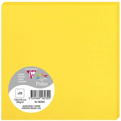 Clairefontaine Pollen 135x135mm 210g/m² - Soleil - Cartes Clairefontaine Pollen 135x135mm 210g/m² - Soleil - Cartes