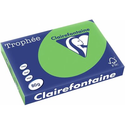 Clairefontaine Mintgrünes A3 Papier - 80g - 500 Blatt - Archivfähig Clairefontaine Mintgrünes A3 Papier - 80g - 500 Blatt - Archivfähig