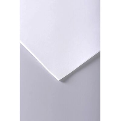 Clairefontaine 3329680216837 Art Paper - 250 Sheets Clairefontaine 3329680216837 Art Paper - 250 Sheets