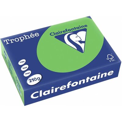 Clairefontaine Trophée Intens - Grün - 210g A4 - 250 Blatt Clairefontaine Trophée Intens - Grün - 210g A4 - 250 Blatt