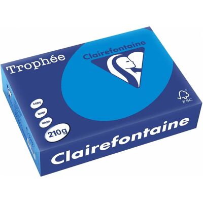 Clairefontaine Caraïbes bleu turquoise A4 - 210 g/m² - 250 feuilles - Papier coloré - Publicité Clairefontaine Caraïbes bleu turquoise A4 - 210 g/m² - 250 feuilles - Papier coloré - Publicité