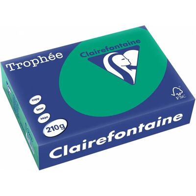 Papier Trophée Clairefontaine A4 - 210g/㎡ - 250 Feuilles - Publicité Papier Trophée Clairefontaine A4 - 210g/㎡ - 250 Feuilles - Publicité