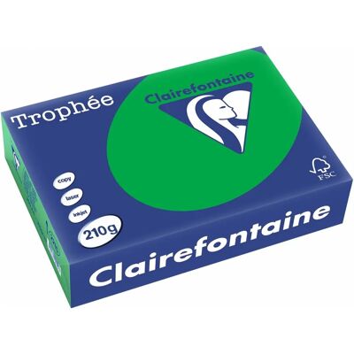 Clairefontaine Trophee Intens Kleurpapier - A4, 210g, 250 vel Clairefontaine Trophee Intens Kleurpapier - A4, 210g, 250 vel