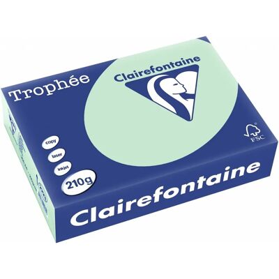 Clairefontaine Trophée Pastel - A4, 210g, 250 feuilles, Vert - Papier - Publicité Clairefontaine Trophée Pastel - A4, 210g, 250 feuilles, Vert - Papier - Publicité
