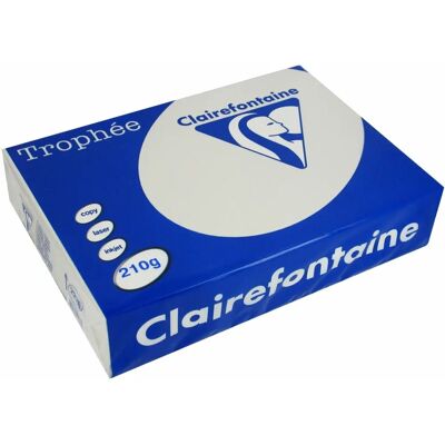 Clairefontaine Lichtgrau A4 - 210 g/m² - 250 Blatt - Buntpapier Clairefontaine Lichtgrau A4 - 210 g/m² - 250 Blatt - Buntpapier